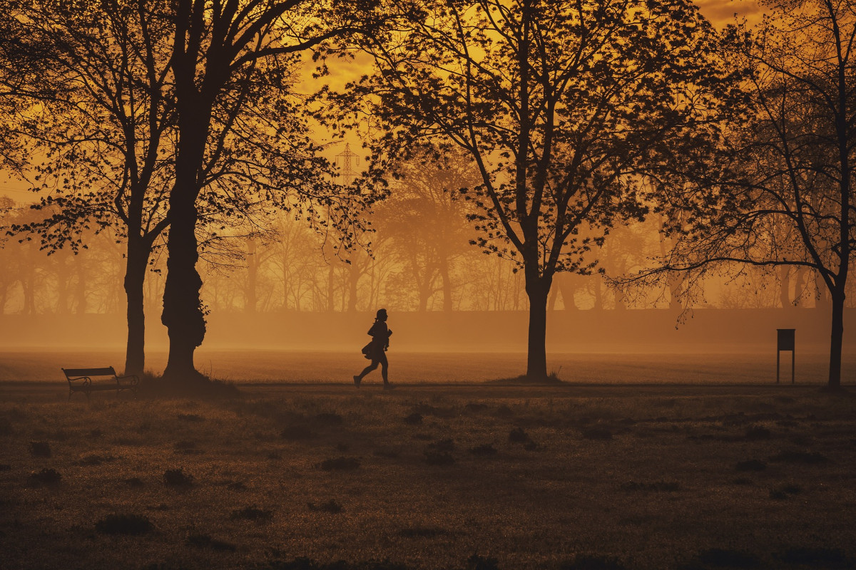 Runner in a foggy park before sunrise