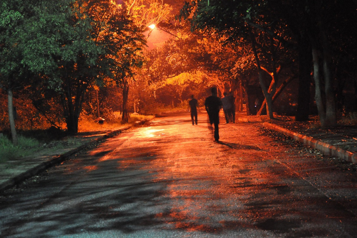 Dark alley in park