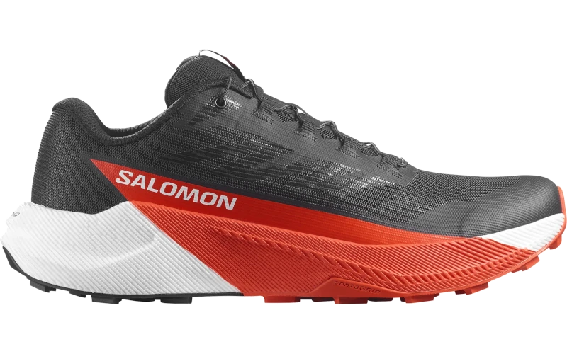 Salomon Pulsar
