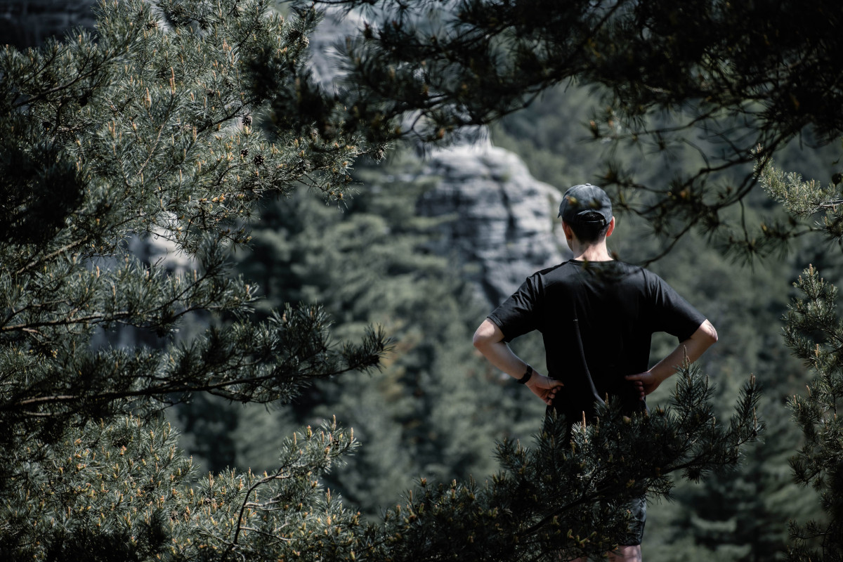 Runner Among the Trees